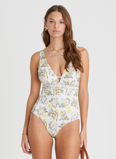 Clementine Alana DD/E Cup One Piece