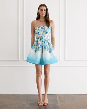 Dauphine Indie Mini Dress